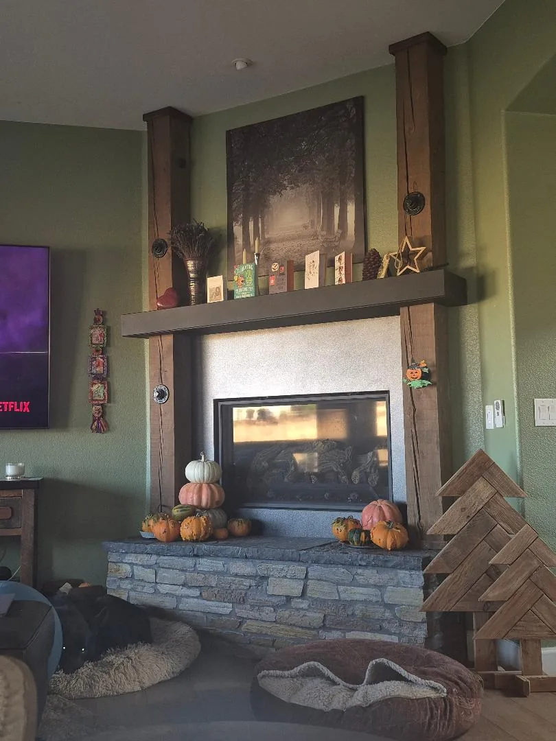 Freestanding stove installed in a living room corner